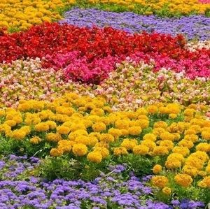 Meet your Posher, Esmee